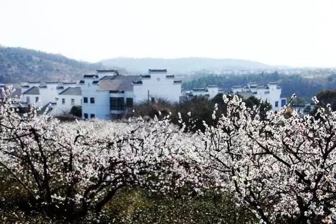 女武神：苍蓝革命