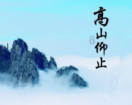 懂你所问,解疑答惑——高跟鞋为什么越来越不被女生喜欢了?问答交流平台