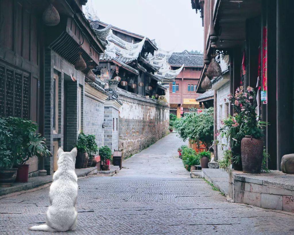 精简妈咪包，带婴儿出门一天需要带哪些东西？游戏画面